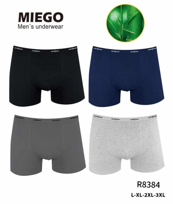 [#8384] Meeste bambusmaterjalist bokserid L-3XL