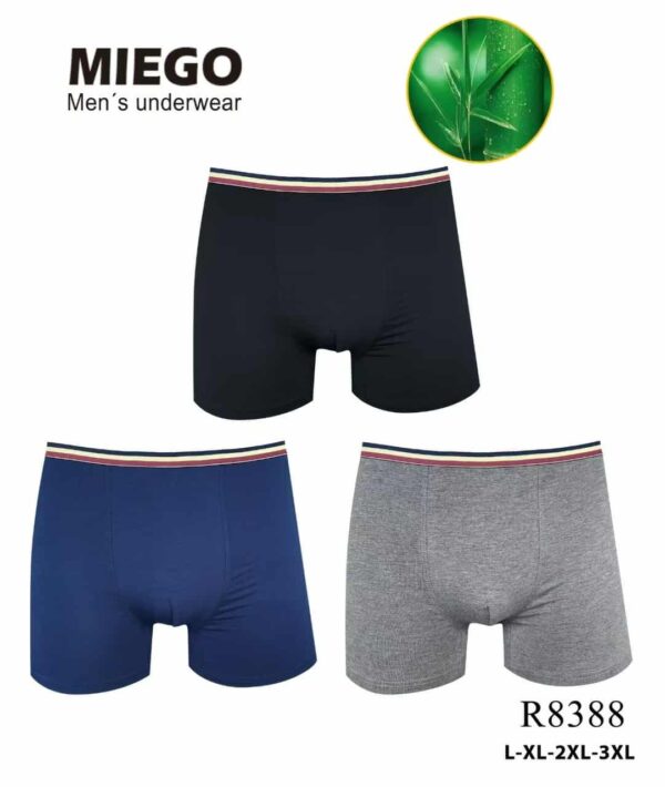 [#8388] Meeste bambusmaterjalist bokserid L-3XL