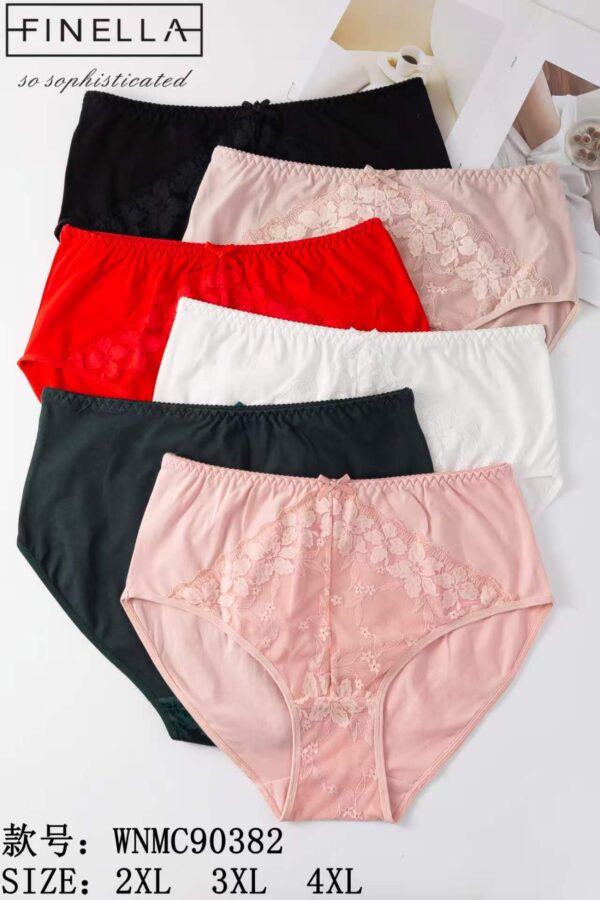 [#0382] Naiste aluspüksid 2XL-4XL