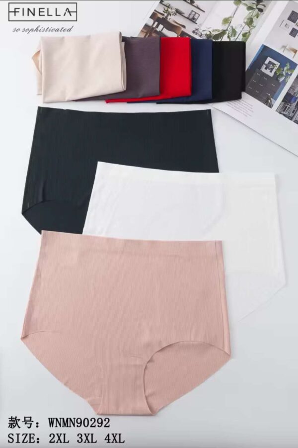 [#0292] Naiste aluspüksid 2XL-4XL