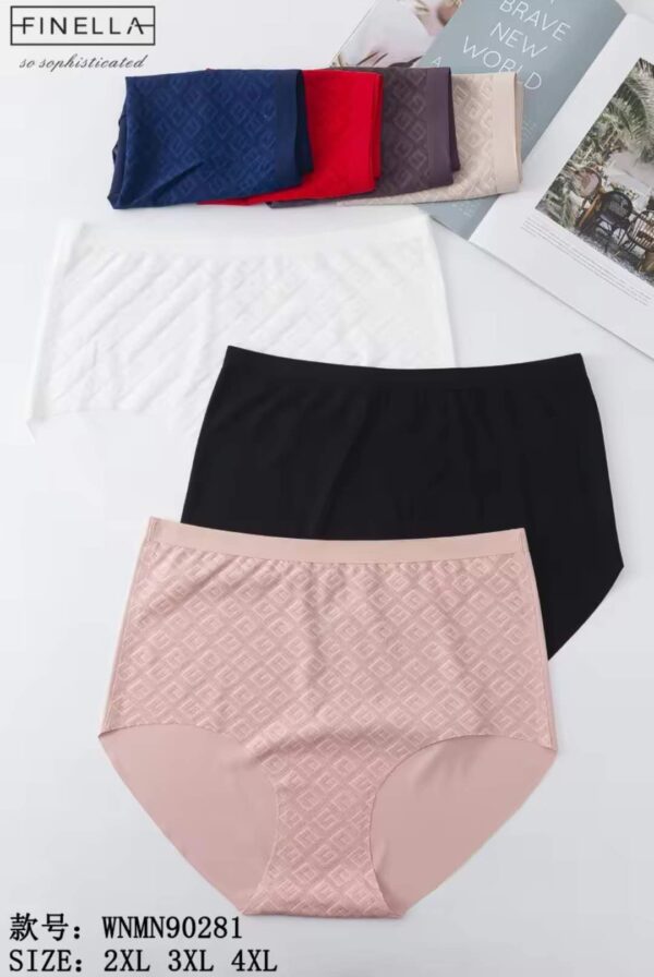 [#0281] Naiste aluspüksid 2XL-4XL